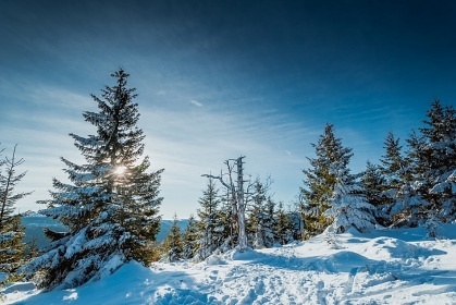 Chata u ���ky Desn� - Dlouh� str�n� - Jesen�ky