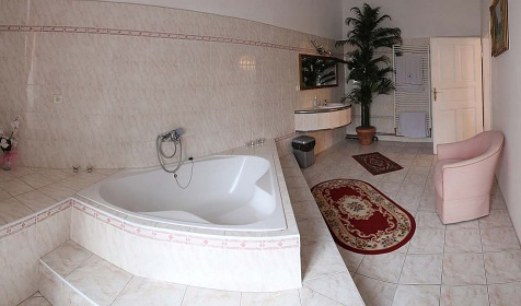 Zámek Úsobí - apartmány - Úsobí - Vysočina