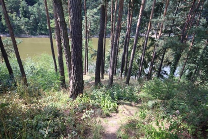 Chata s baz�nem - p�ehrada Orl�k - Bechyn�