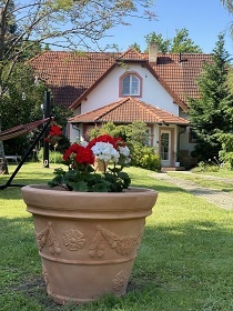 Vila EVIO s vířivým bazénem Třeboň