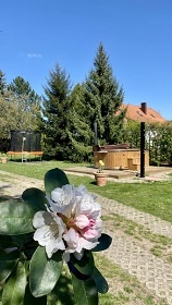 Chalupa s bazénem - Na Kopečku - Třeboňsko