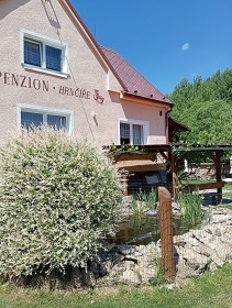 Rodinn� penzion s baz�nem - Toulava - Podblanicko