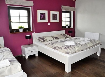 Penzion s wellness - Kru�n� hory - Kl�novec