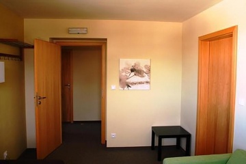 Penzion s wellness - Kru�n� hory - Kl�novec