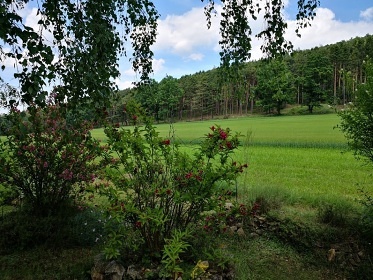 Chata Blansk� les - hrad D�v�� k�men - Kle�