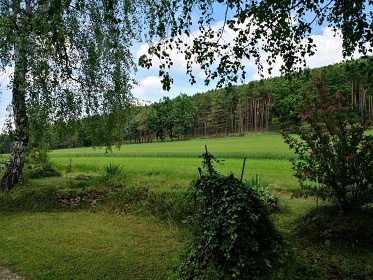 Chata Blansk� les - hrad D�v�� k�men - Kle�