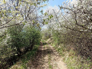 Pension Fortuna Halenkov - Beskydy, Javorníky