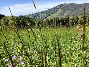 Chalupa Krkonoe - Vrchlab - Mal Labe