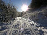 Chata p. Magurou - Chvojnica, Strážovské vrchy