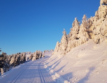 Roubenka s bazénem - Kralický Sněžník - Stříbrnice