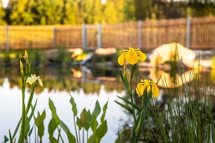 Wellness chalupa a jez�rko - Novohradsk� hory