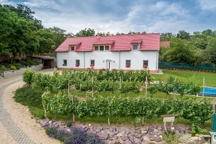 Ubytování Dyje - penzion s bazénem - Znojmo