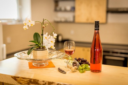 Rekrean dm Podyj - pehrada Znojmo - Morava