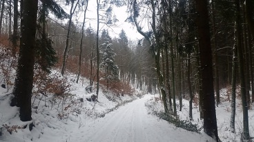 Chata Olšany - ubytování Vyškov - Brno