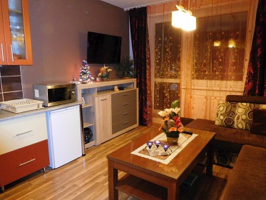 Apartm�n s wellness - na hor�ch - Vysok� Tatry
