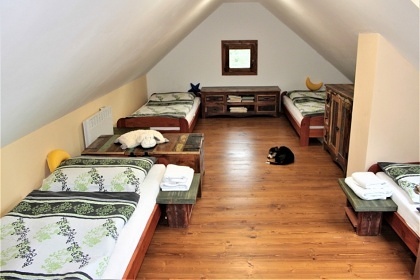 Roubenka Vysočina - Vítějeves - hrad Svojanov