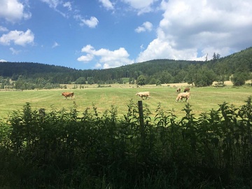 Chata Jeseníky - Vrbno pod Pradědem - Zadní Ves